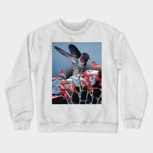 Bird Trainer Crewneck Sweatshirt